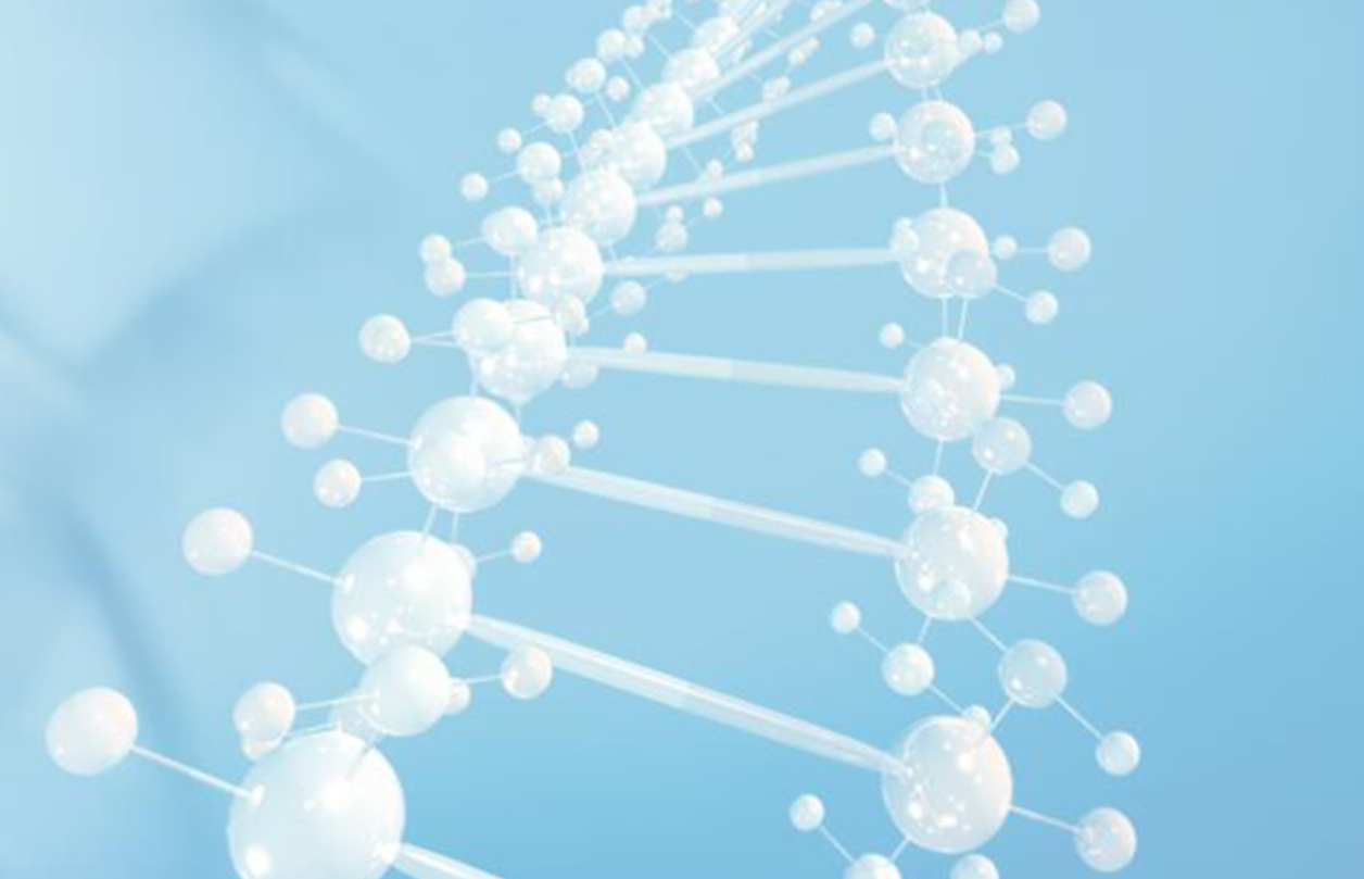 MK(�����Ƽ����޹�˾)�������ٷ���վ